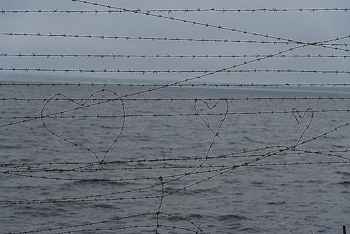 a couple of hearts drawn on a barbed wire fence