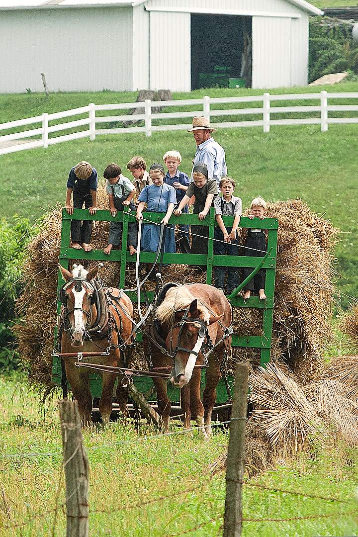 children riding carriage