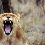 How to Let Go of Anger