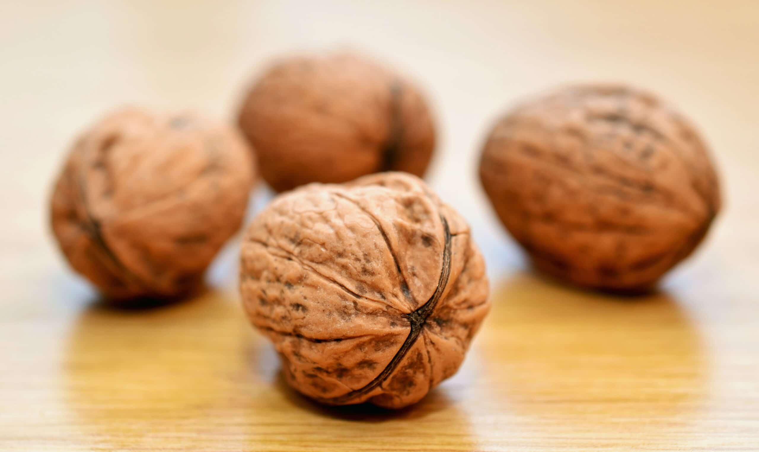01.Walnuts