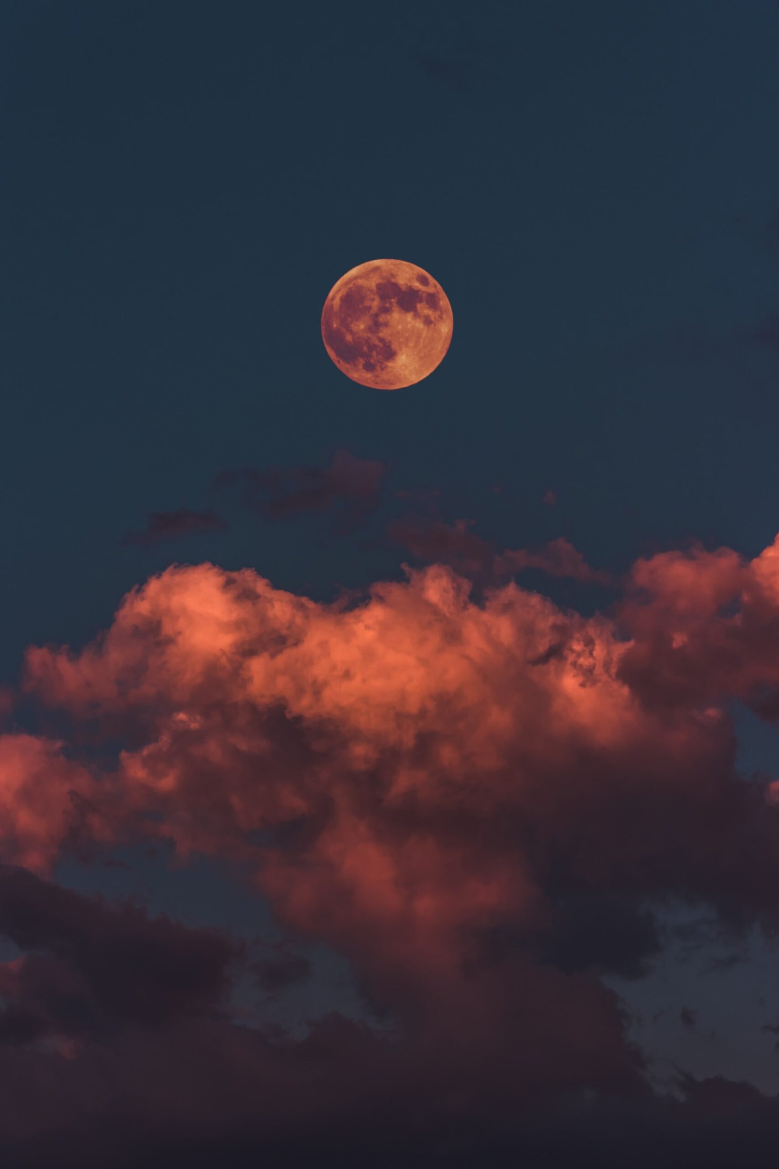 7 Rituals To Add To Your Night Routine
