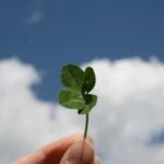 5 Lucky Symbols to Transform Your Life