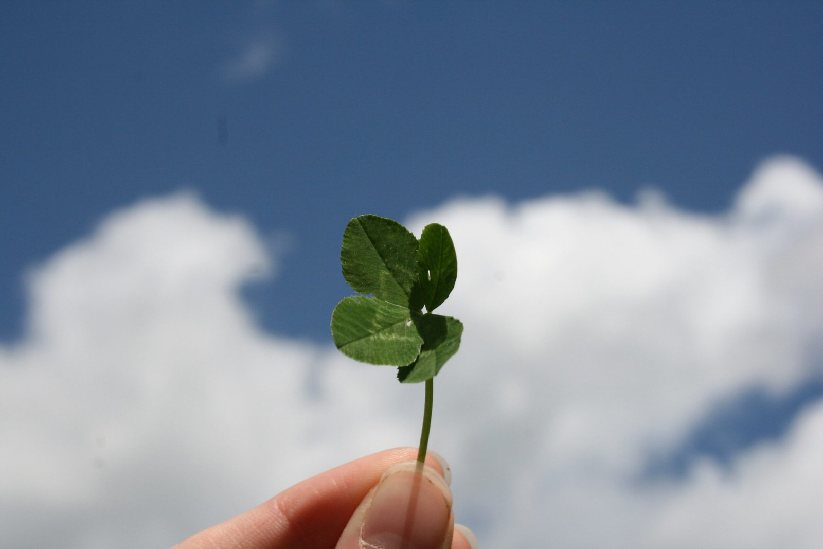 5 Lucky Symbols to Transform Your Life