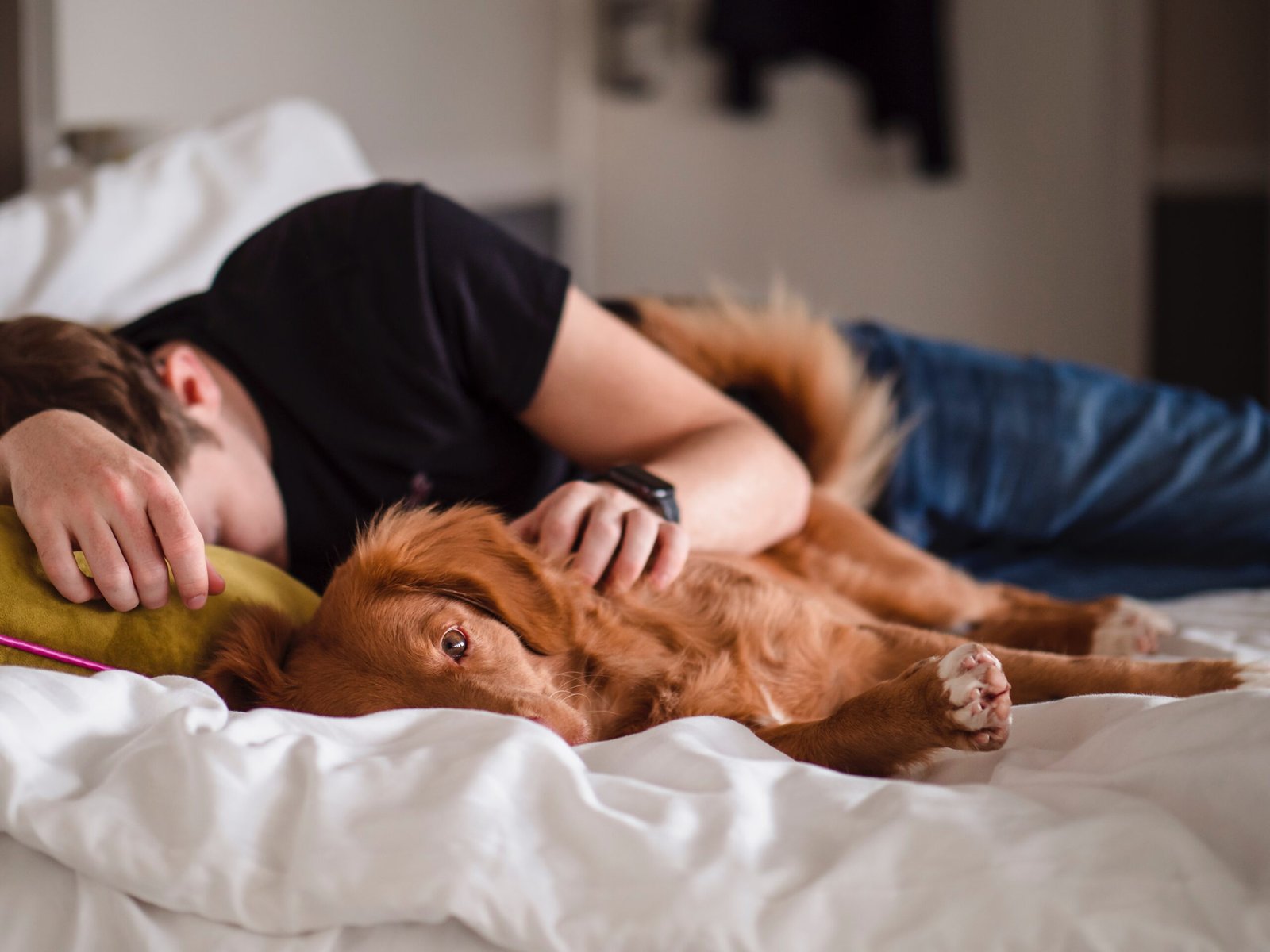 The Art of Nap-Taking: How Power Naps Boost Productivity and Energy