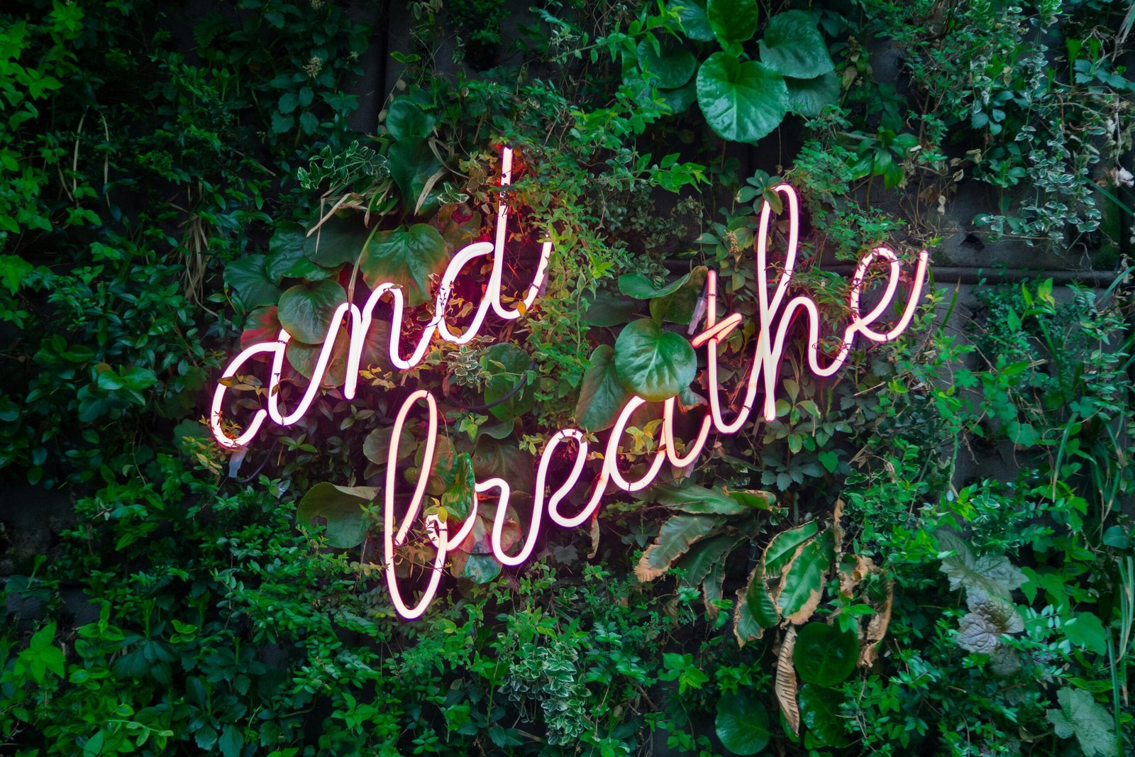and breathe neon sign on tre