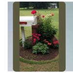 Blooms Galore: 15 Mailbox Flower Bed Ideas for Every Gardener