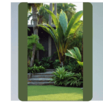 Transforming Your Space: 15 Tropical Landscaping Ideas