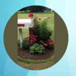 Blooming Beauties: 15 Charming Mailbox Flower Bed Ideas
