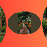 Exotic Oasis: 15 Creative Tropical Landscaping Ideas