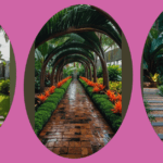 Tropical Escape: 15 Backyard Landscaping Ideas for a Relaxing Retreat