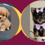 Charming Teacup Puppies: The Ultimate Guide to Miniature Cuteness