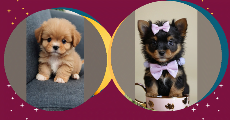 Charming Teacup Puppies: The Ultimate Guide to Miniature Cuteness