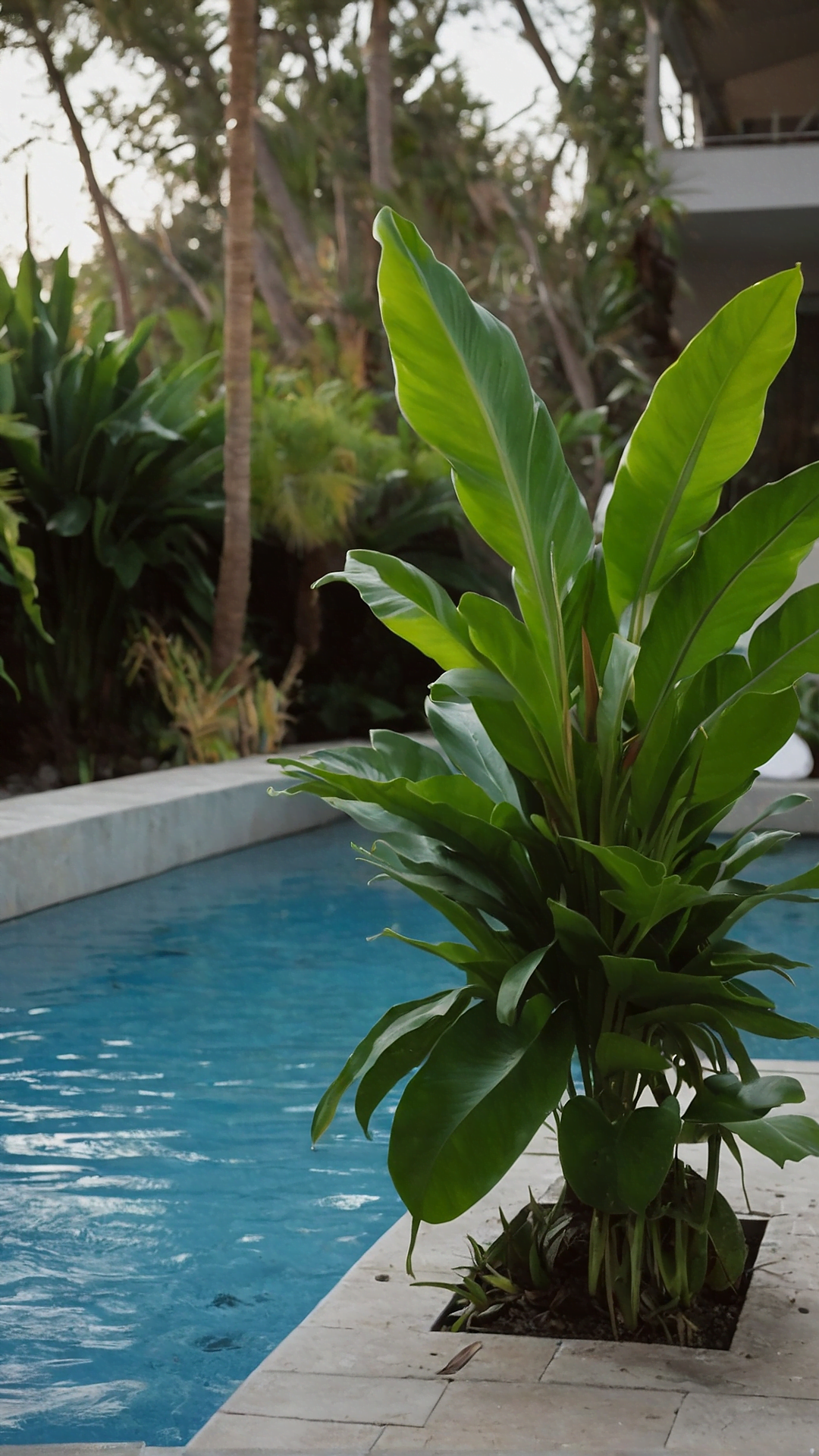 Subtle Elegance: Minimalistic Plants for Poolside Areas