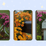 Bloom Boxes: 15 Creative Mailbox Flower Bed Ideas