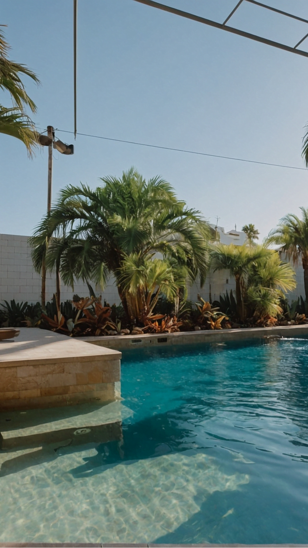 Safe and Sound: Non-toxic Plants for Pool Areas