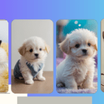 Tiny Delights: Discover the Magic of Teacup Puppies