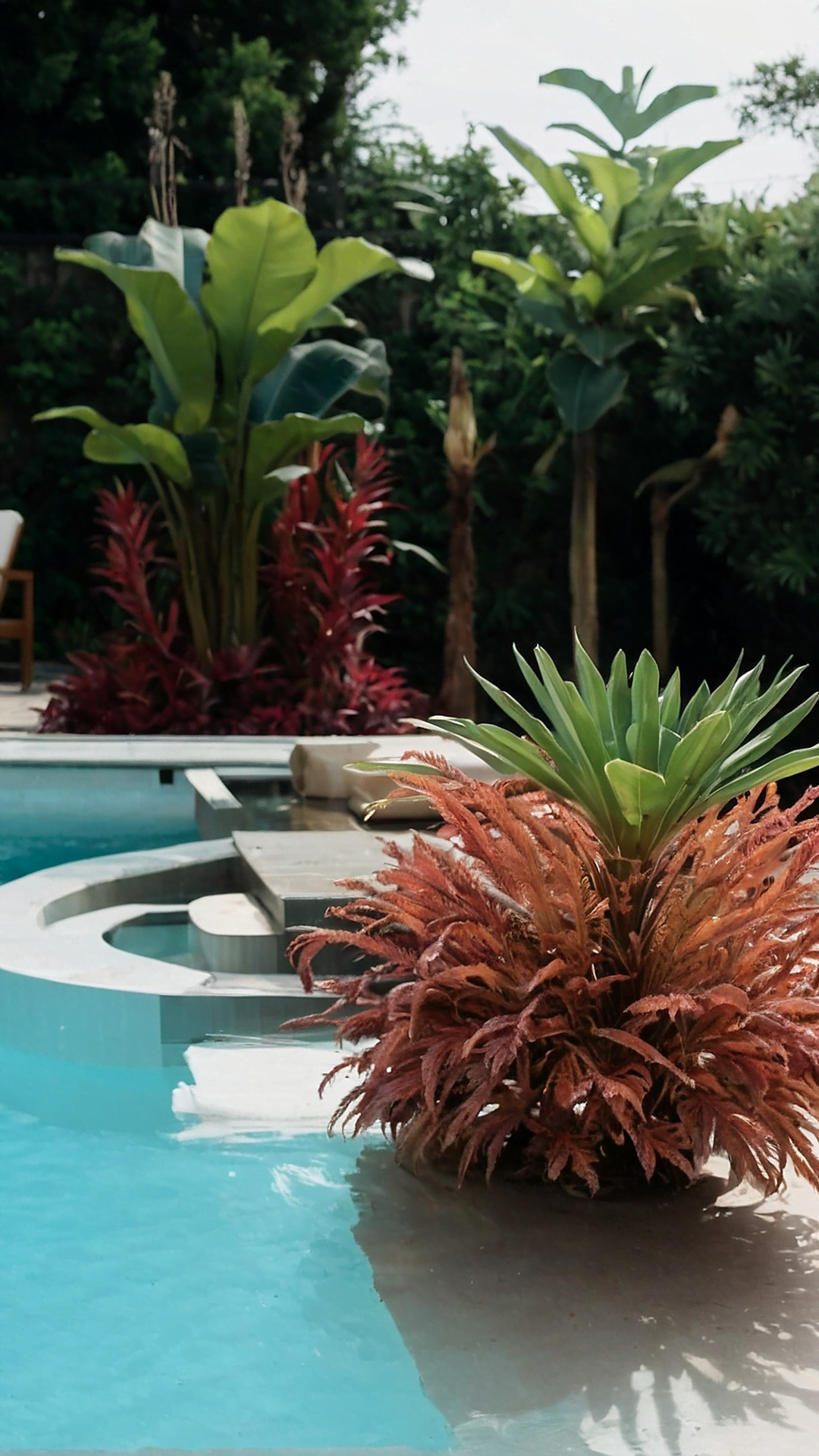 Oasis Creation: Best Plants for a Pool Garden