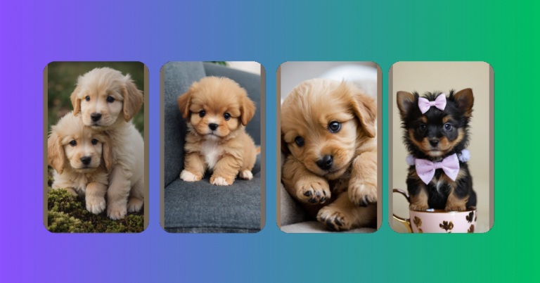 Unleash the Cuteness: Meet Your Teacup Puppy Soul Mate Today