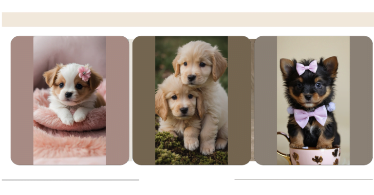 Teacup Puppies Videos: Adorable Moments Captured