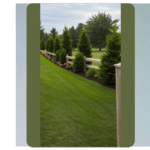 15 Fence Line Landscaping Ideas to Beautify Your Backyard