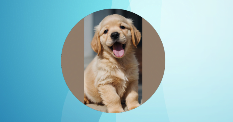 Puppy Love Extravaganza: 15 Heartwarming Ideas for Your Canine Fandom