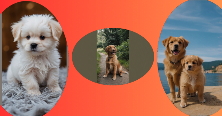 Puppy Bliss Bonanza: 15 Irresistible Ideas for Your Paw-some Fix