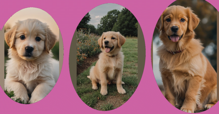 The Ultimate Guide to 15 Cute Puppies Ideas That Will Melt Your Heart