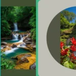 Mesmerizing Waterfalls: 15 HD Nature Wallpapers to Transform Your Screens