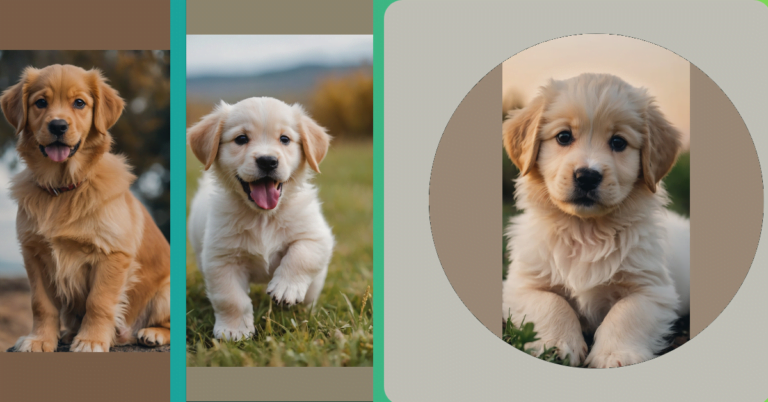 Irresistibly Cute: 15 Puppy Photo Ideas That Will Melt Your Heart