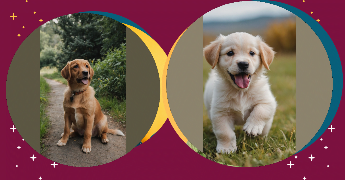 Adorable Puppy Extravaganza: 15 Cute Little Pups to Melt Your Heart!