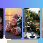 Breathtaking Peony Wallpaper Ideas for Your Desktop Delight