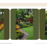 Swaying Palms and Sunny Blooms: 15 Sensational Tropical Landscaping Ideas for Your Outdoor Sanctuary