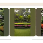 Creating a Tropical Retreat: Balistyle Backyard Design Ideas for Australian Homes