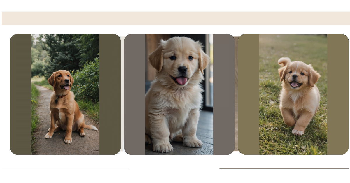 Puppy Paradise: 15 Wallpaper Worthy Puppy Ideas That Will Make Your Day!