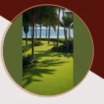 Tropical Garden Paradise: 15 Front Yard Ideas for a Lush Oasis