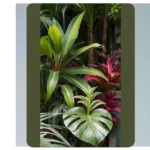 15 Tropical Garden Design Ideas to Transform Small Spaces