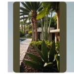 Blooming Beauty: 15 Florida Landscaping Ideas for Your Backyard Paradise