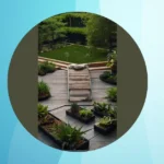 Breathe Easy: 15 Air-Purifying House Plants for Fresher Indoor Spaces