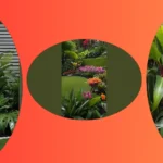 Tropical Bliss: 15 Modern Garden Ideas for Stylish Small Spaces