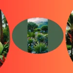 Vibrant Splendor: 15 Tropical Plants Perfect for Your Outdoor Full Sun Space