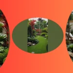 Tropical Backyard Bliss: Elevate Your Outdoor Space With These Ideas