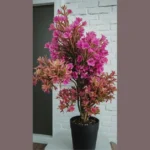 Green with Envy: 15 Aesthetic House Plants to Elevate Your Indoor Decor