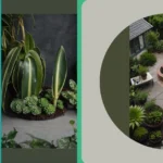 Breathe Easy: 15 Air-Purifying House Plants for Your Indoor Decor