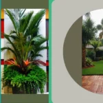 Tropical Oasis: 15 Florida Landscaping Ideas for Your Backyard Paradise