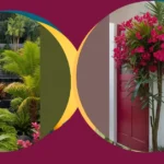 Tropical Garden Delights: 15 Clever Small Spaces Landscaping Ideas