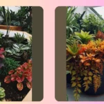 Pet-Friendly Plants: 15 House Plants Ideas Safe for Your Furry Friends