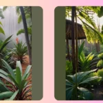 Vibrant Outdoor Beauties: 15 Tropical Plants for Full Sun Gardens