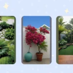 15 Creative Tropical Garden Design Ideas to Transform Small Spaces