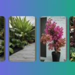 Low-Maintenance Love: Decorate Indoors with the Easiest House Plants