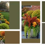 Festive Fall: 15 Garden Ideas That Shine in Autumn